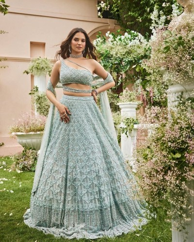 Wedding wear net lehenga choli - lehenga,