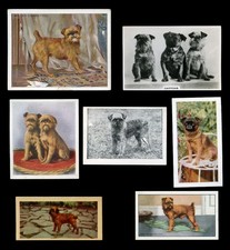 GRIFFON BRUXELLOIS BRUSSELS BELGIAN Dog Vintage Trade & Cigarette Cards - x 7
