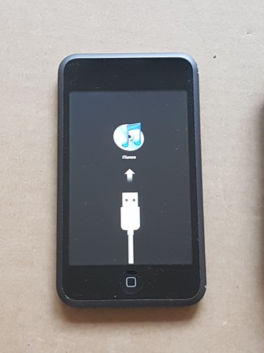 Apple ipod touch 1st gen - ipod,