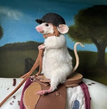 🐁 Taxidermy Mouse Riding
