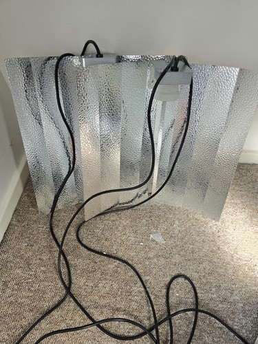 600w grow light kit - light,