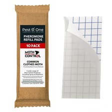 10x Professional Common