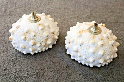 Pair ceramic sea urchin - sea,