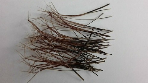 Pack pheasant tail - x,