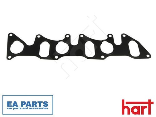 Gasket intake manifold - intake,