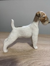 Lomonosov Wire Fox Terrier Dog