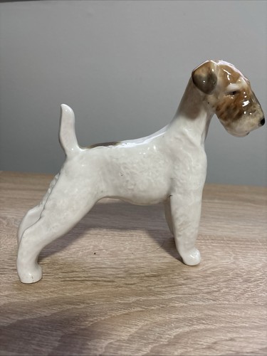 Lomonosov wire fox terrier - lomonosov,