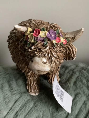Next hamish the highland cow - hamish,