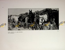 Mixed Company At Race Meeting