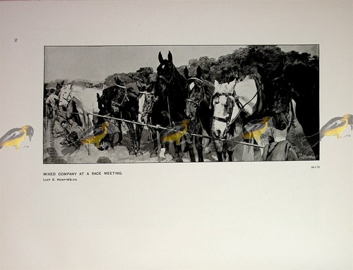 Mixed company race meeting - company,