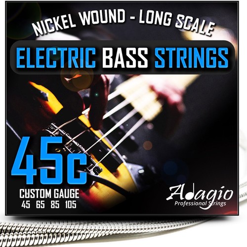 Electric bass guitar - electric,