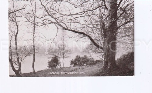 Postcard talkin tarn - d., postcard.