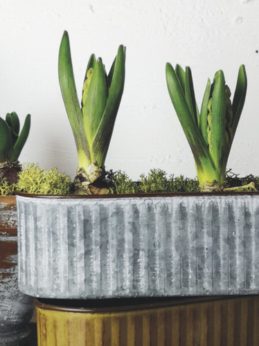 Metal trough planter - trough, ribbed