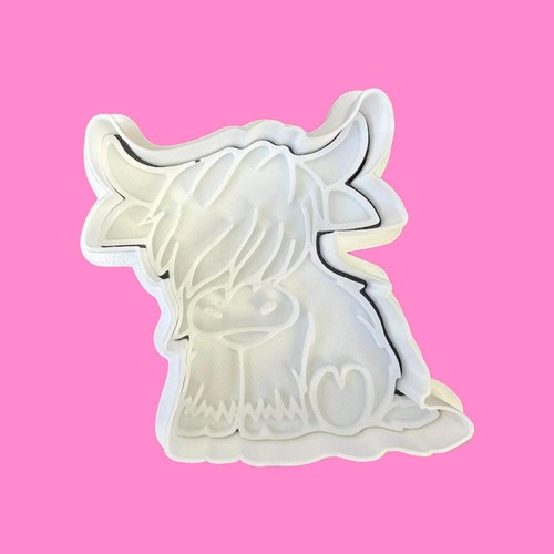 Cute sitting highland cow - cute,