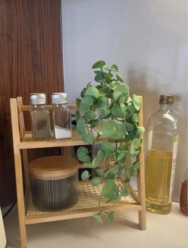 Two tier spice rack - two,