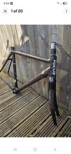 Focus Cayo Carbon Frameset 54