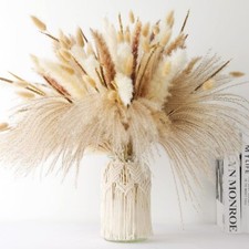 Dried Pampas Grass Decor - 120
