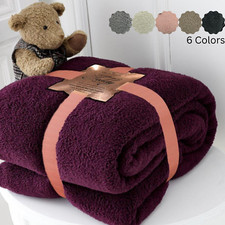 Teddy Throw Blanket Fleece