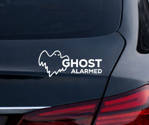 Ghost alarmed window - 2,