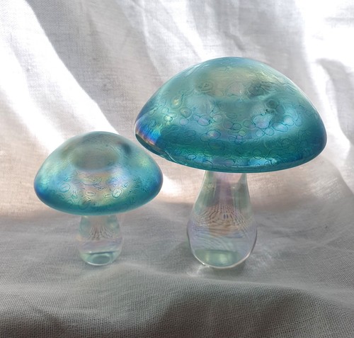 Iridescent turquoise blue - iridescent,