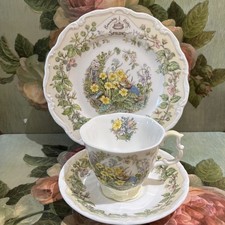 Brambly Hedge cup and saucer