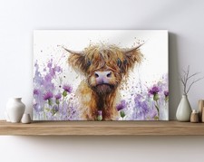 Highland cow thistle flowers - cow,