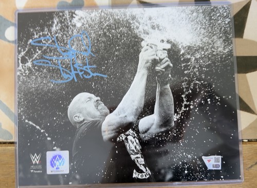 Wwe hof stone cold - wwe, steve