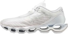 Mizuno wave prophecy - prophecy, 12
