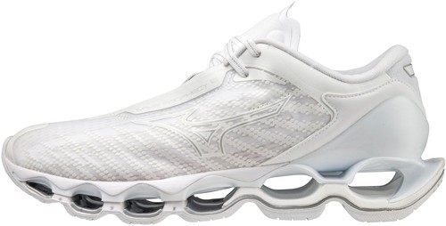 Mizuno wave prophecy - mizuno, 12