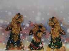 Airedale Terrier Christmas
