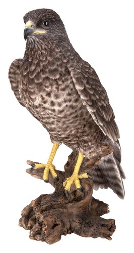 Common buzzard lifelike - common,