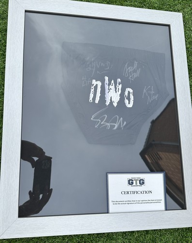 Nwo signed wrestling trunks - nwo,
