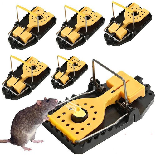 Mouse trap spring - 4-12,