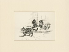 KING CHARLES SPANIEL JAPANESE CHIN MALTESE CAT 1934 DOG ART PRINT PERSIS KIRMSE