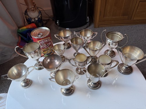 Silver plate trophies - plate,