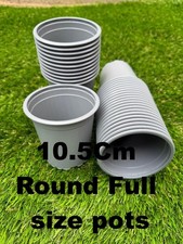 100 cm thermoformed - cm,