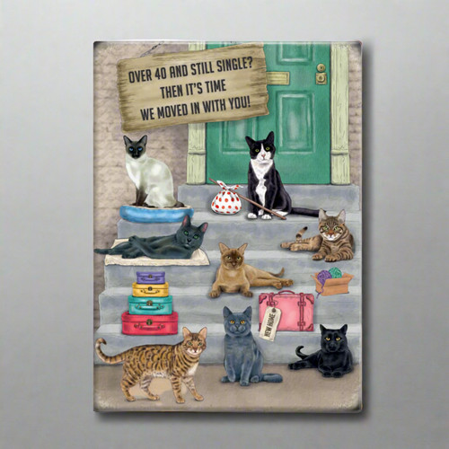 Funny cat verse - cat, fridge