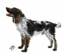 ✤ ORIGINAL Oil Portrait