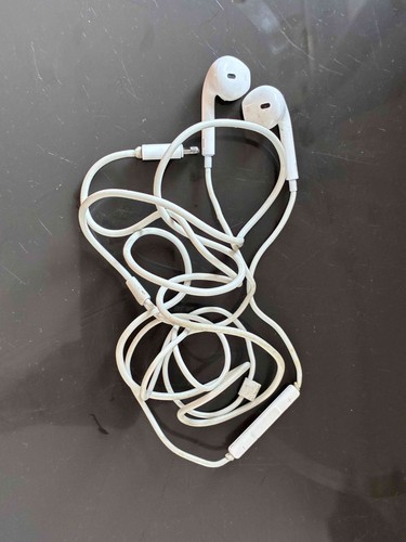 Apple earpods wired earphones - apple,