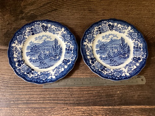 Royal worcester palissy blue - royal,