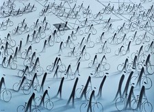 MACKENZIE THORPE the Sound of