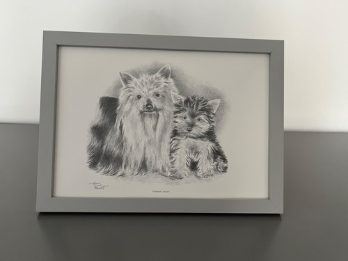 Framed yorkie art - yorkie, print