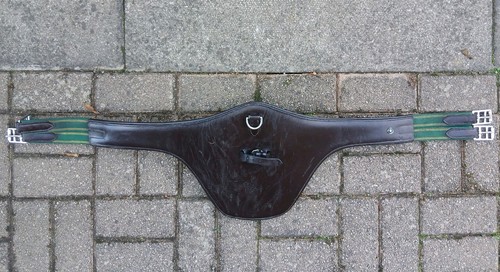 Blenheim collection stud girth - collection,