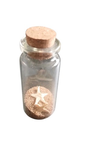 Starfish collectable glass jar - glass,