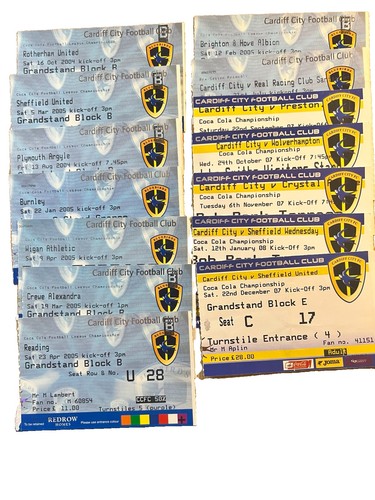 Cardiff city football - cardiff,