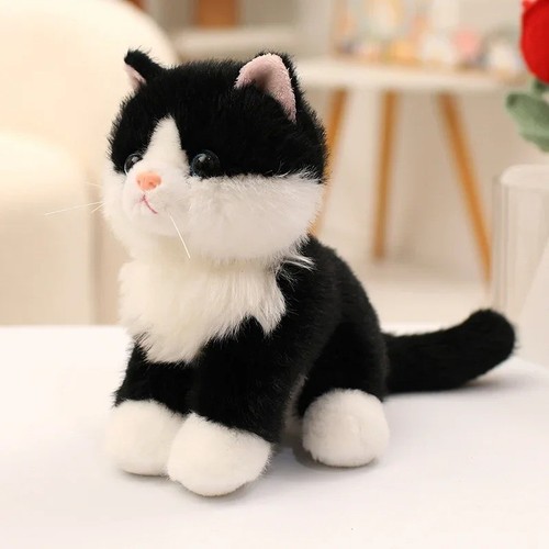 Cat teddy for home - for, and