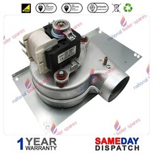 Halstead Ace Ace High Wickes