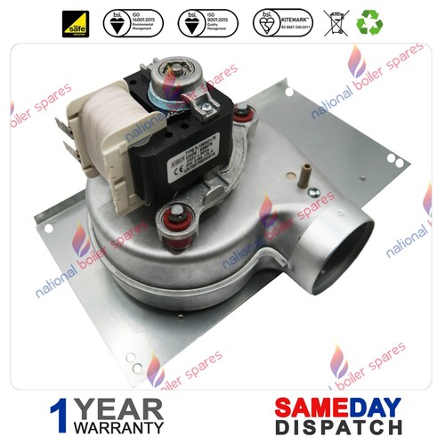 Halstead ace high wickes - high,