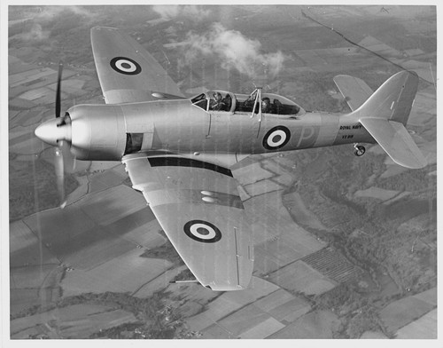 Hawker sea fury original - -,
