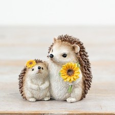 Mum & Baby Hedgehog With